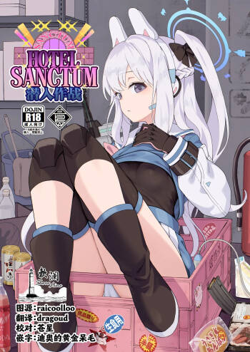 HOTEL Sanctum Sennyuu Sakusen | HOTEL Sanctum 潜入作战 cover