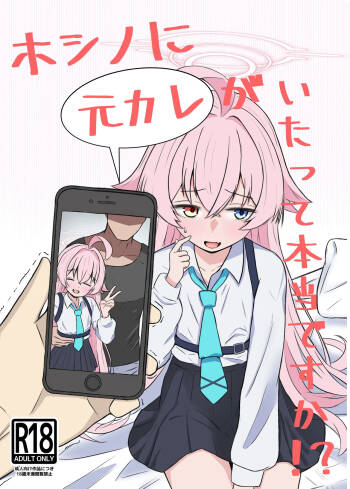 Hoshino ni Moto Kare ga ita tte Honto desu ka!? cover
