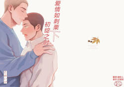 igaguri ga wareru koro ni  | 爱情如刺栗初绽之时