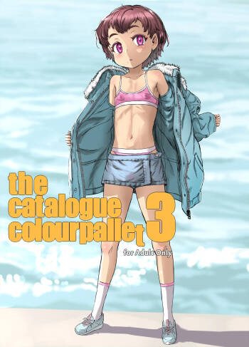 the catalogue colourpallet 3 cover