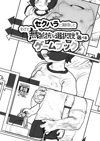 Sekuhara ni Kitai Shite Wazato Muteikou na Sentakushi o Eraberu Game Book cover