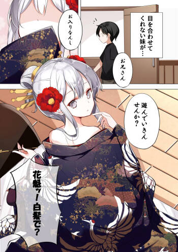 はまけん。花魁の妹が一日一回しか目を合わせてくれない。 cover