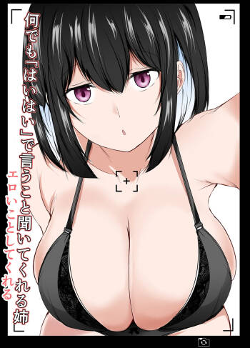 Nandemo "Hai Hai" de Shite Kureru Ecchi na Ane cover