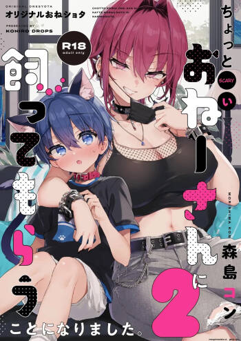 Chotto Kowai Onee-san ni Katte morau Koto ni Narimashita.2 cover