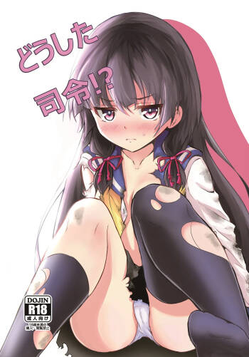 Doushita Shirei!? | What's Wrong, Admiral?! cover