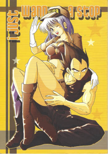 i just wanna stop cover