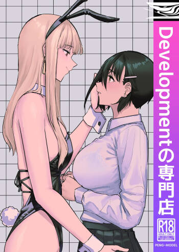 Developmentの専門店 cover