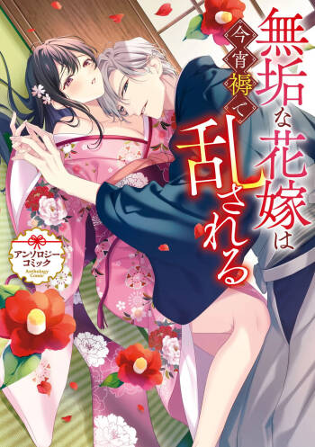 sobazukae no kanawanu koi to wakagimi no chouai | 侍女的无望悲恋与少主的宠溺偏爱 cover