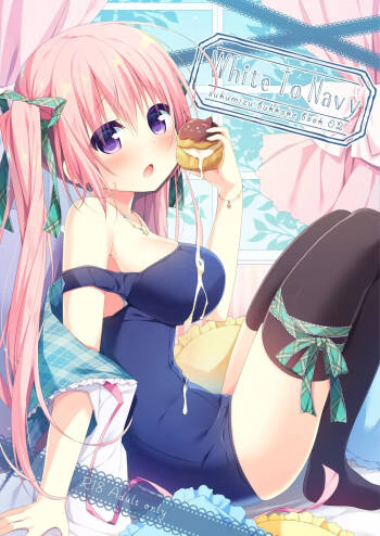 White To Navy 2 cover