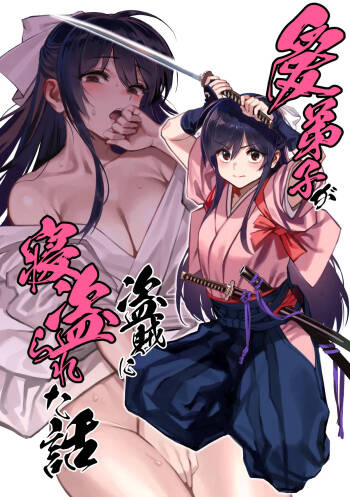 Aideshi ga touzoku ni netorareta hanashi cover
