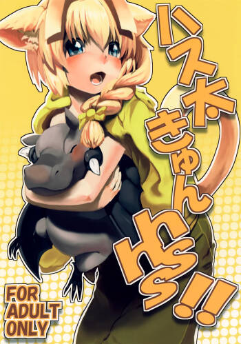 Hasuta-kun hshs!! cover