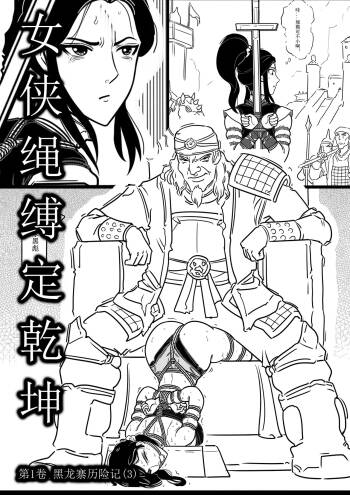 女侠绳缚定乾坤3 cover