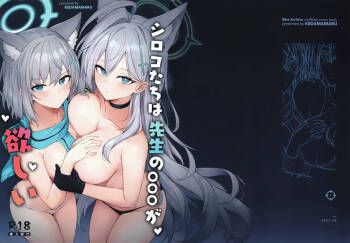 シロコたちは先生の○○○が欲しい cover