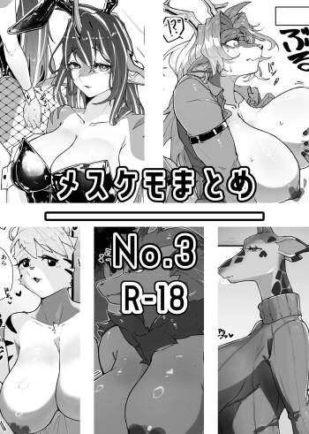 雌兽精选合集No.3 cover