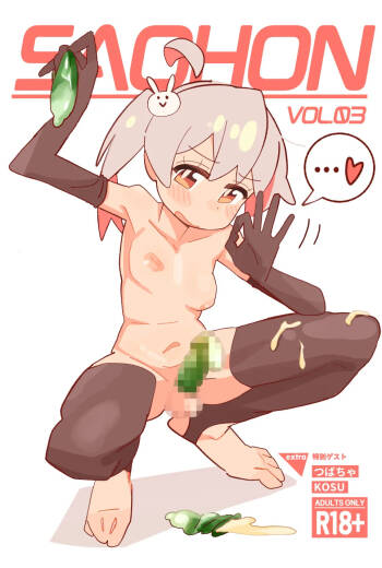 SAOHON 3 cover