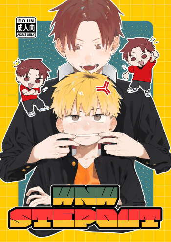 WNWSTEPOUT cover