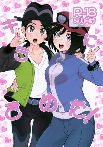 Kimi ni Kimeta! cover