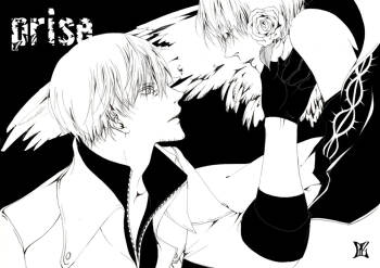 PRISE cover
