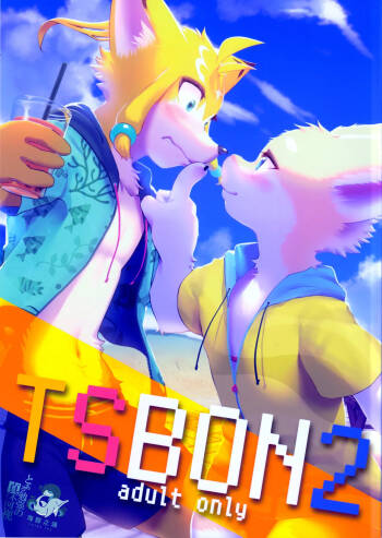 TSBON2 cover