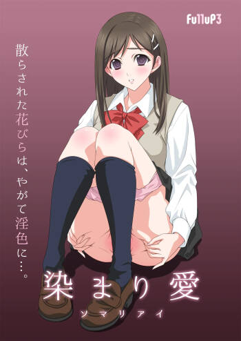 Somari ai cover