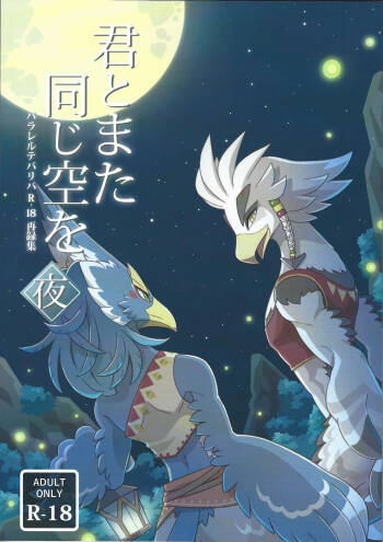 Kimi to mata onaji sora o yoru cover
