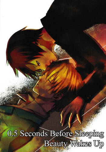 0.5 Seconds Before Sleeping Beauty Wakes Up – Durarara!! dj cover