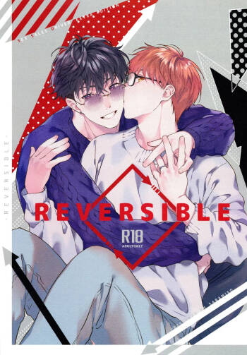 REVERSIBLE cover
