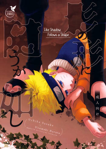 Kage no Katachi ni Shitagau ga Gotoshi | Like Shadow Follows a Shape cover