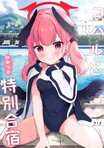 Koharu to Himitsu no Tokubetsu Gasshuku cover