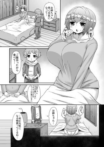 身体が弱い姉を魔物を使って元気にする漫画 cover