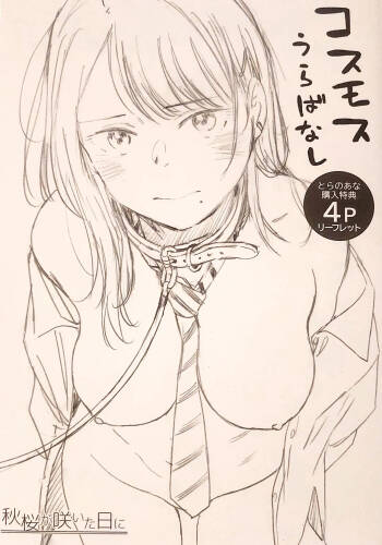 Cosmos ga Saita hi ni Toranoana Tokuten 4P Leaflet cover