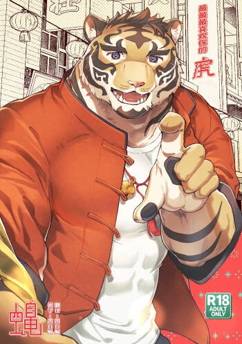 最最最喜欢你的虎 cover