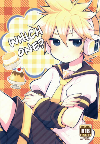 Docchi? | Which One? cover