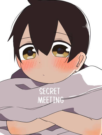 Mikkai | Secret meeting cover