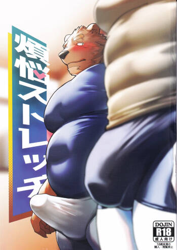 煩悩ストレッチ cover