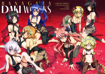 HANAGARA DAKI WORKS VOL.2 cover