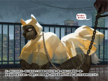 Walk Him Like a Pup cover
