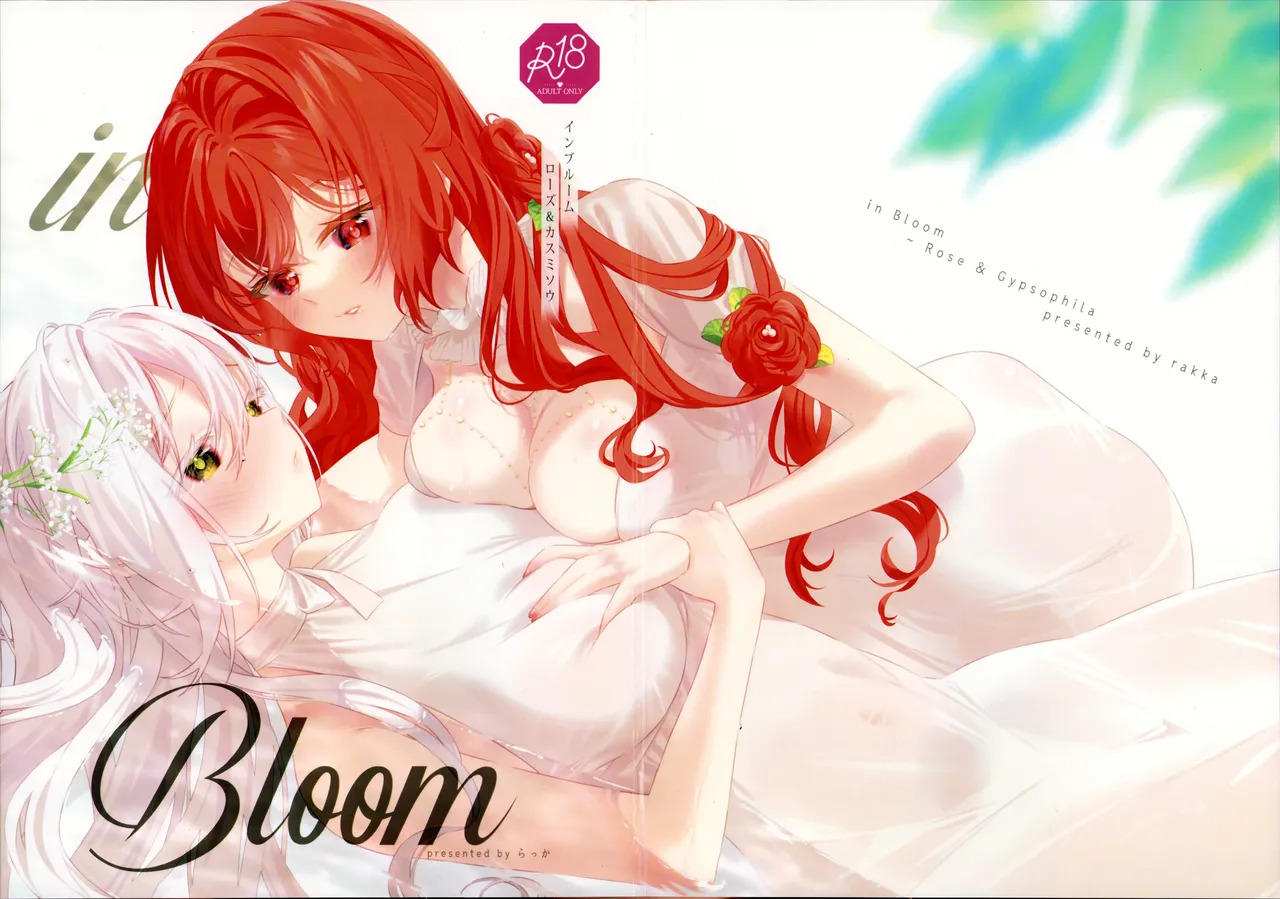 in Bloom - Rose & Gypsophila page 2 full