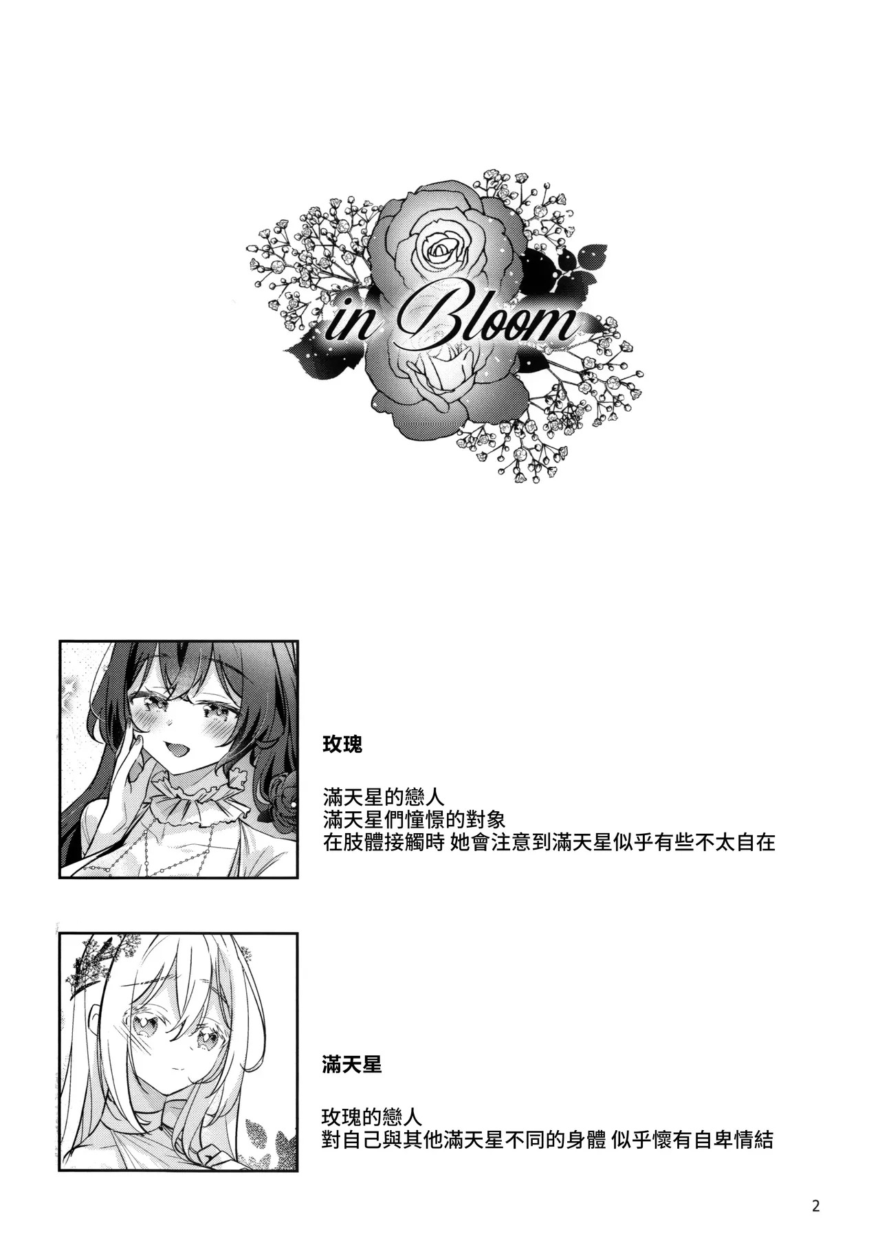 in Bloom - Rose & Gypsophila page 4 full