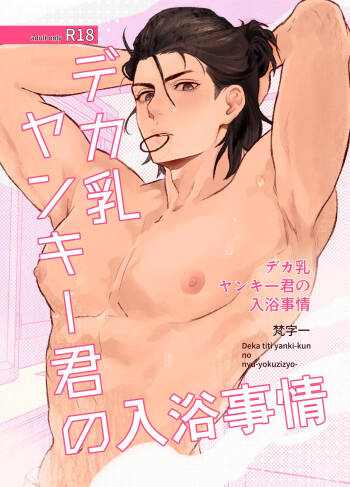 デカ乳ヤンキー君の入浴事情 cover