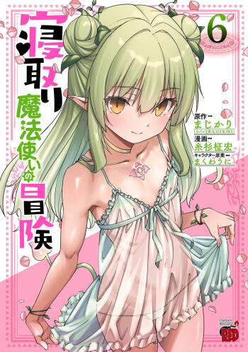 Netori Mahoutsukai no Bouken Volume 6 cover