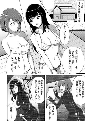 Yashiki no Aruji to Futari no Onna cover