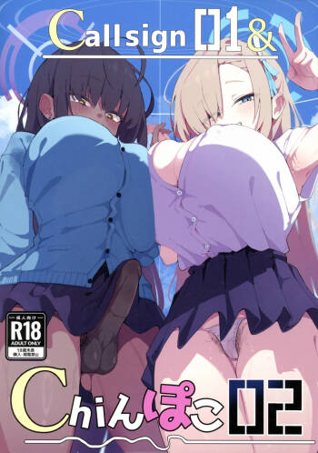 call sign 01 & chinpoko 02 cover