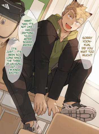 FANBOX 47 Chocolate cover