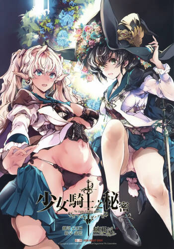 Otome Kishi no Himegoto | 少女騎士之秘密 cover