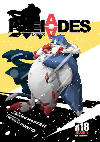 PLEIADES cover