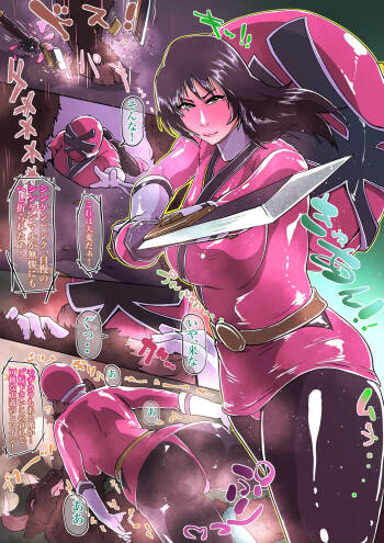 罰を受けるシンケンピンク cover