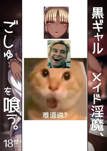 黑皮辣妹女仆淫魔，将阿主吃干抹净 1-4 cover