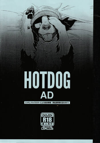 Hotdog AD cover