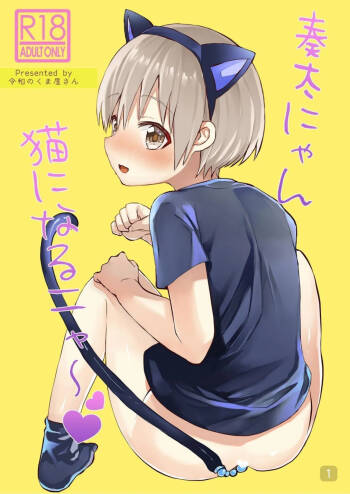 Souta-nyan ni naru nyaa cover